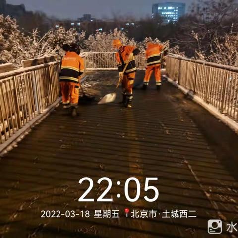 夜来春雪照京城，一枝春雪冻梅花