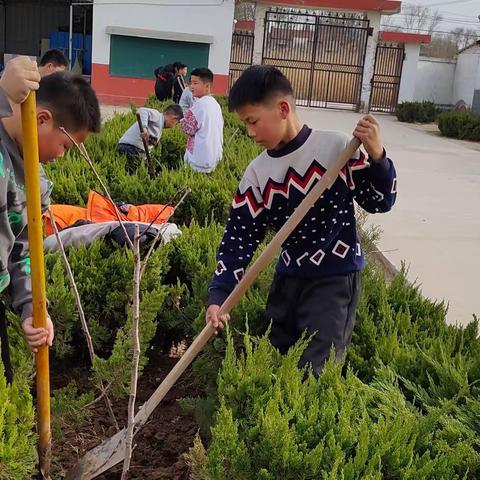 争做护绿小使者——杨集乡东桑小学植树节活动