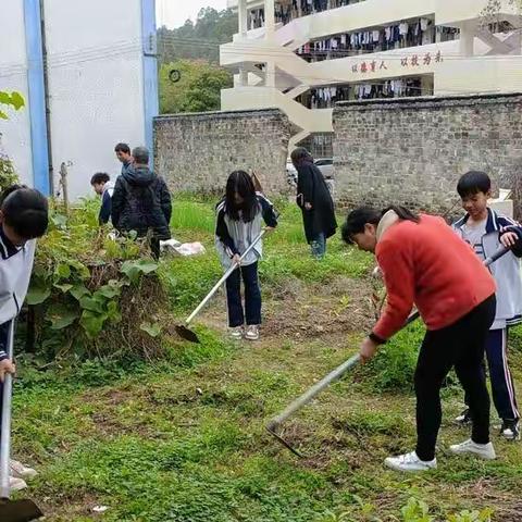 实践基地正式开放