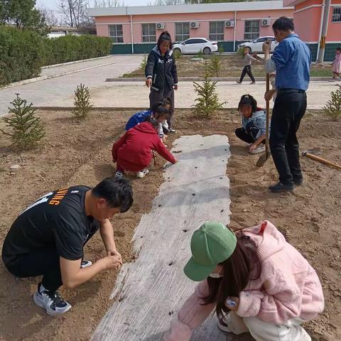“三抓三促”胡洼村小学“劳动伴我行，菜园种植”活动