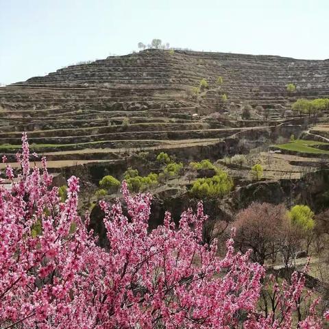 田园杂谈