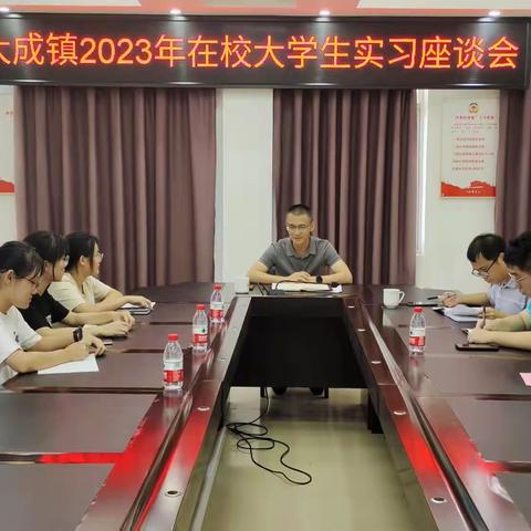大成镇召开2023年在校大学生实习座谈会