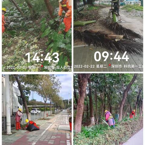 石岩街道过境道路公共绿地项目周工作总结2022/2/19-2/25