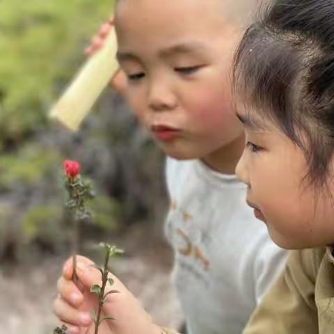 童心稚趣，春意成诗——永康龙川学校一（4）班周末实践活动