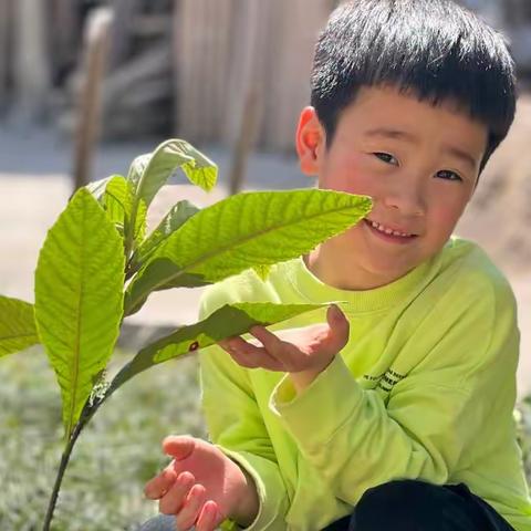 阳春三月媚春光，我和小树共成长——永康龙川学校一（4）班植树节实践活动暨孝悌进行时（四）