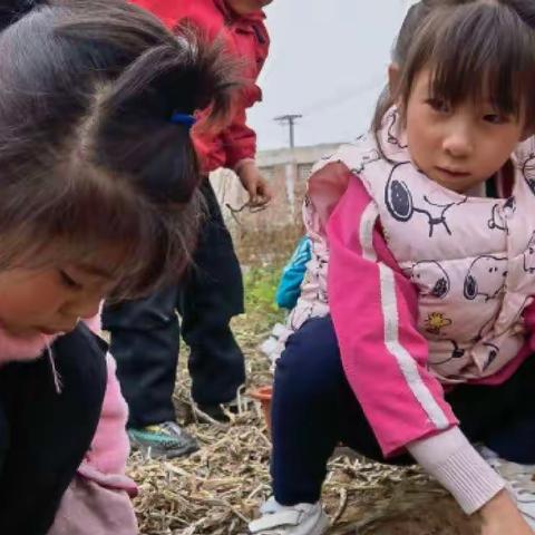 筑梦新时代，争做好少年——山寨乡中心小学第二届劳动技能大赛主题队会活动