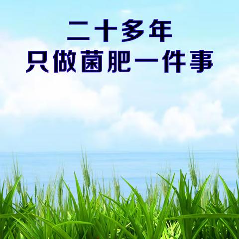 扎兰屯东北农化服务万里行纪实22年下册