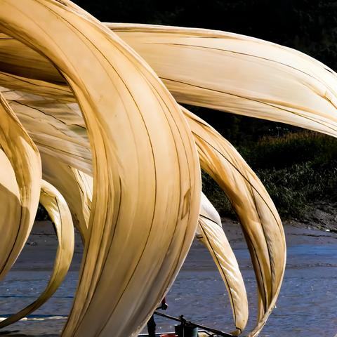 行行摄摄——霞浦杨家溪榕树群、瓦窑飘网