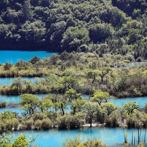 2021.07.19——九寨归来不看水.四川阿坝