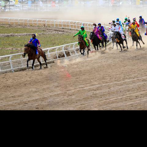 2021.07.18——四川阿坝•若尔盖大草原
