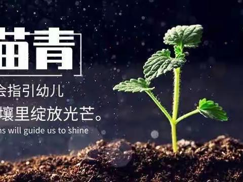 一夜春风来，万树繁花开