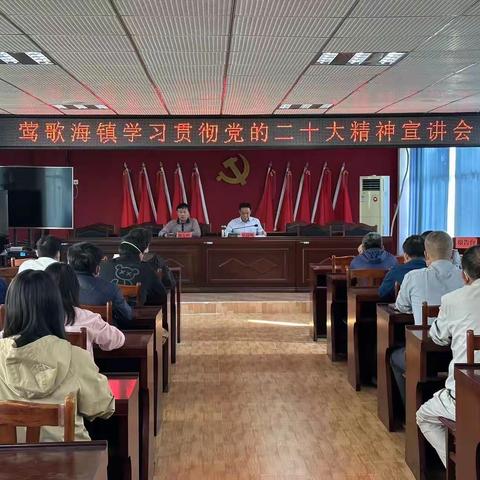 乐东县委常委张国辉到莺歌海镇宣讲党的二十大精神