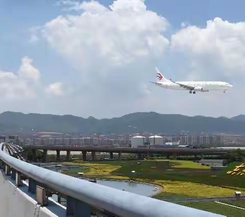 【春香】云南行(一)：探访雨林古树红茶