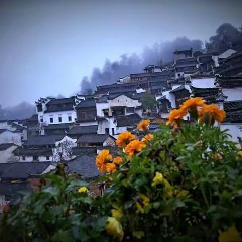 偷得浮生半日暇，云雾深处探人家。秋雨潇潇光影下，白墙黑瓦，红柿绿叶映黄花。一一江西篁岭、石城行摄随感