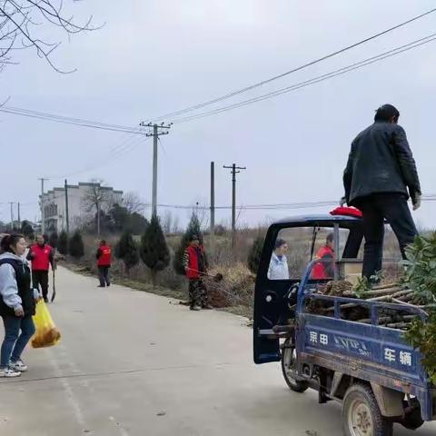 北向店乡代湾村：国土绿化正当时 义务植树添新绿