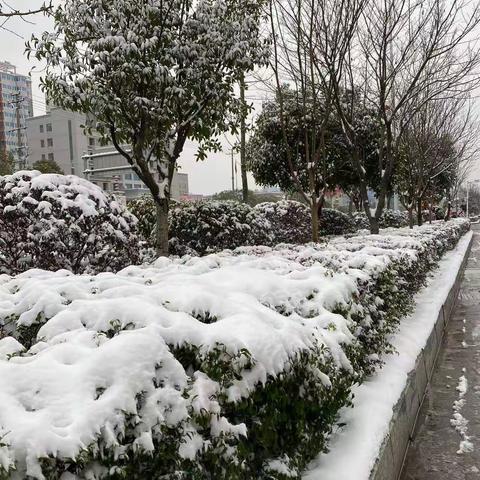 众志成城抗击冰雪