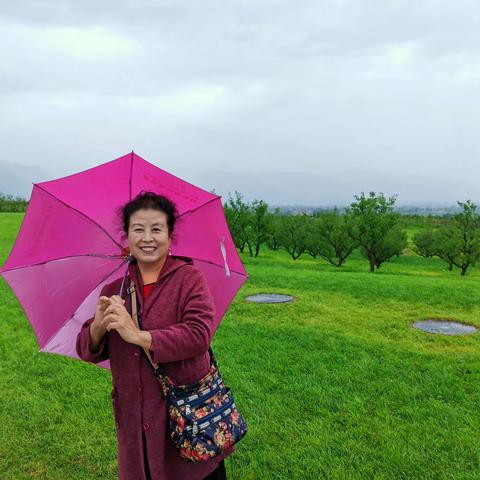 悠然南山雨唐村