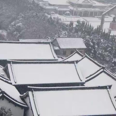 雪之梦