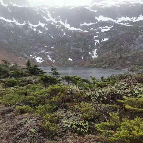 探访碧罗雪山印象