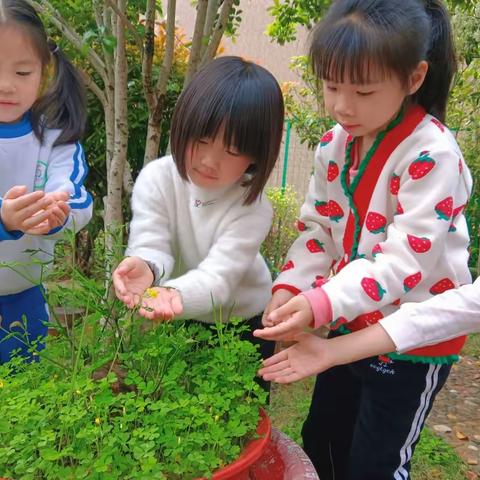 留住春天——学前一班春日美育篇