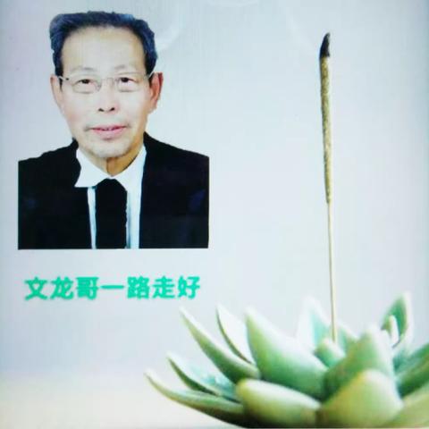 悼念高文龙