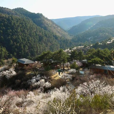 杜儿坪桃花沟