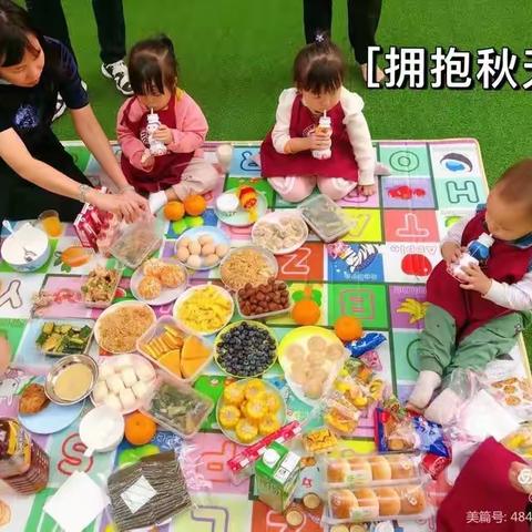 北大京学幼儿园BB班活动精彩回顾🎉