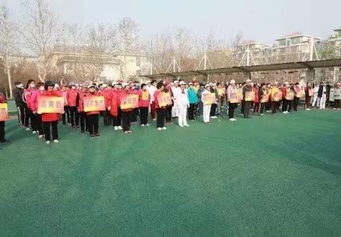 淄博市第二十九届女子门球比赛高青队荣获冠军