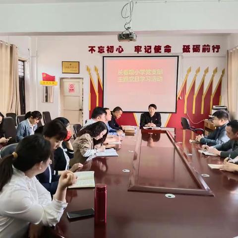 禹州市颍川办长春观小学党支部2023年5月主题党日活动