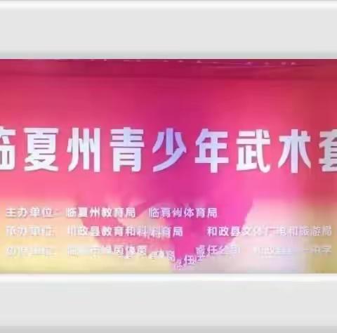 少年强，则国强——临夏州青少年武术锦标赛