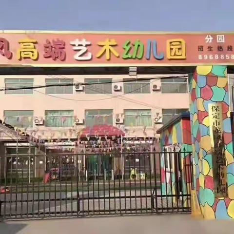 龙凤幼儿园特色课程介绍