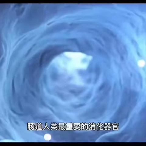 为什么肠道健康才是人体常健康？