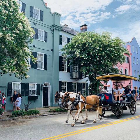 重游南方明珠查尔斯顿