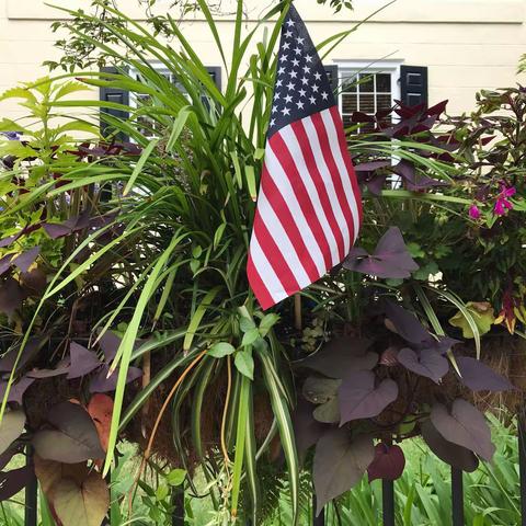 美国独立战争之我见