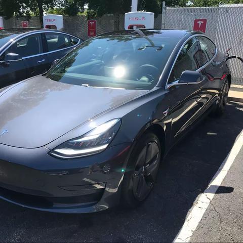 我和我的小蜜蜂