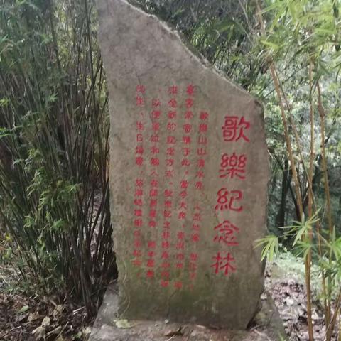 疏影：再登歌乐山