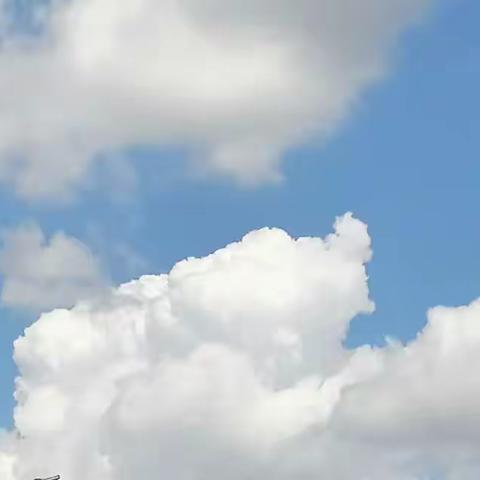 宣传安全常识，助力家乡平安——语教2102陈心如