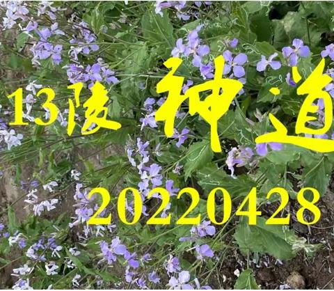 202204028十三陵神道