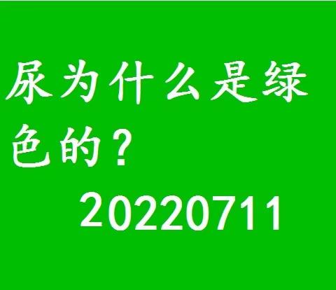 尿为什么是绿色的？