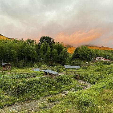 茅岗铺村小记