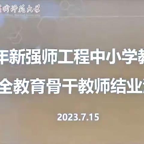 2023年新强师工程中小学教师国家 安全教育骨干教师结业汇报