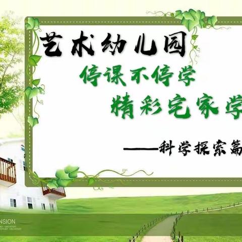 艺术幼儿园《停课不停学，精彩宅家学》——科学探索篇