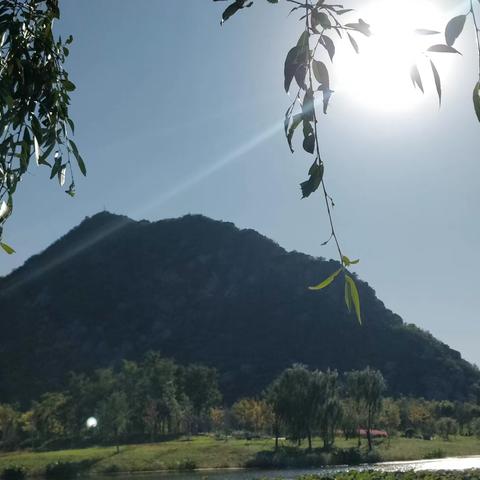 依山而居  磅水而学