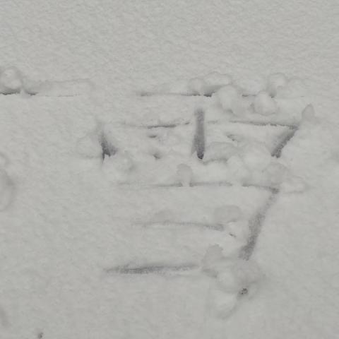 听，雪下的声音