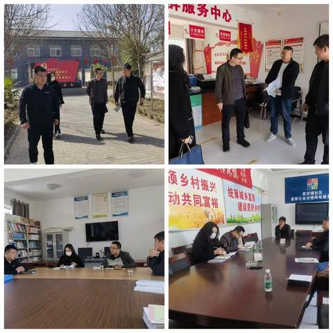 区组织部领导深入水稻乡调研指导“五星”支部创建工作。