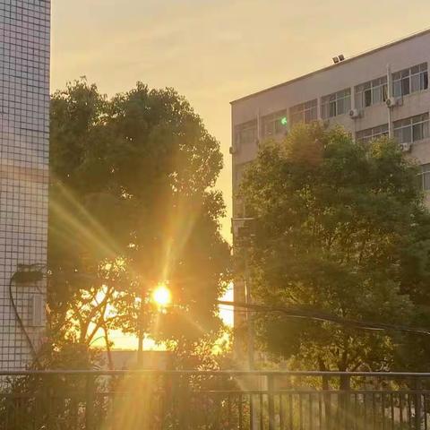 襄阳技术学院，师范学院特殊教育学院，小教2105班，褚校语