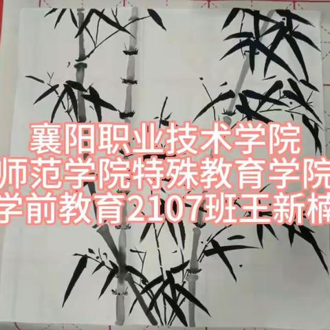 «暑假练习专业技能»——襄阳职业技术学院师范学院特殊教育学院  学前教育2107班王新楠