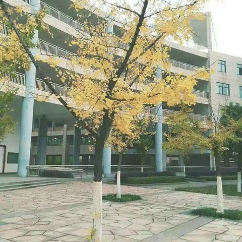 优秀大学生回访母校