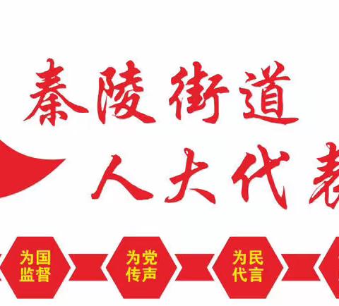 秦陵街道2023年人大工作会暨代表履职和议案办理情况问卷调查座谈会