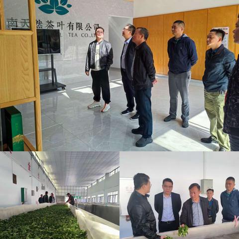县委副书记李锋一行来到海南天然茶叶有限公司开展调研工作